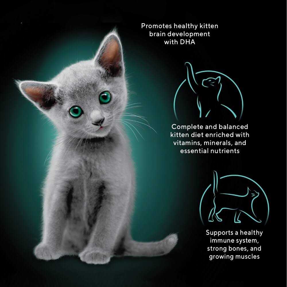 Sheba Perfect Portions Kitten Premium Soft Pate Wet Food Variety Pack