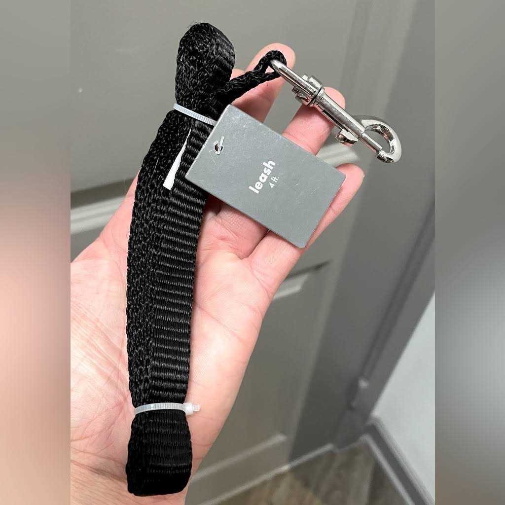 Pet Champion 4′ Metal Standard Dog Leash