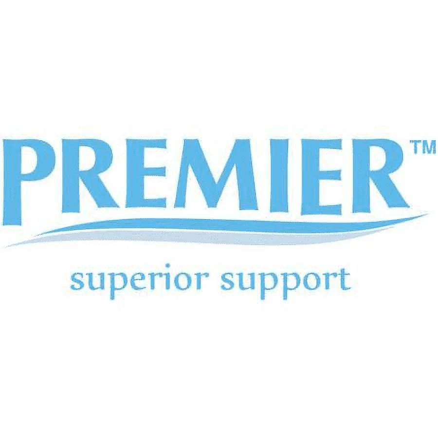 Boyd Sleep Bree Upholstered Faux Leather Platform Bed, Queen, Black/Gray