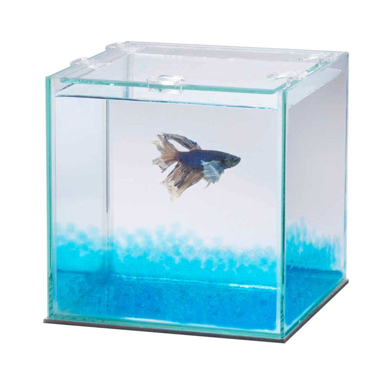 Aqueon Pure Betta Beads