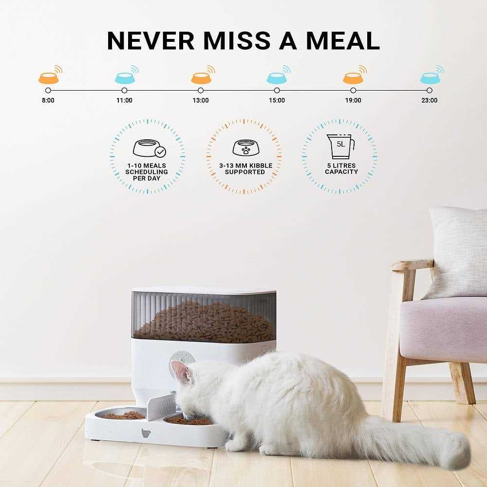 Instachew Cats & Dogs Purechew Double Automatic Pet Feeder - Pet Supplies online store