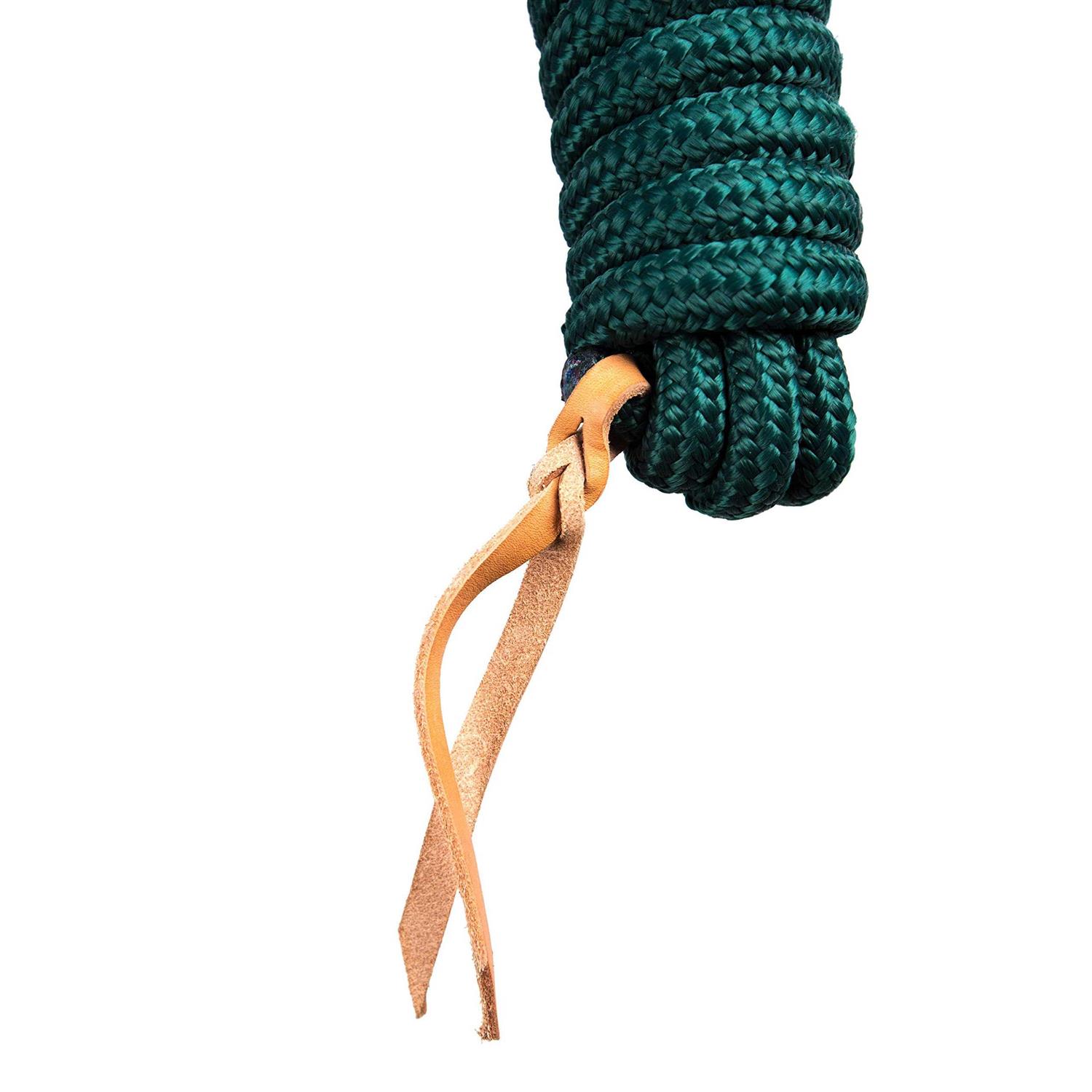 Kensington Clinician Training Lead