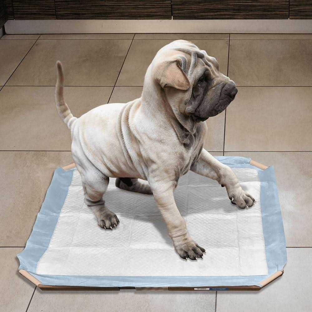 OUT! Dog Pad Holder Portable Tray for Pet Training and Puppy Pads