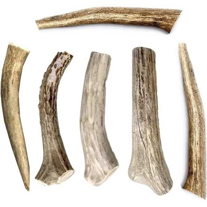 Hotspot Pets All Natural Whole Deer Antler Dog Chew Treats