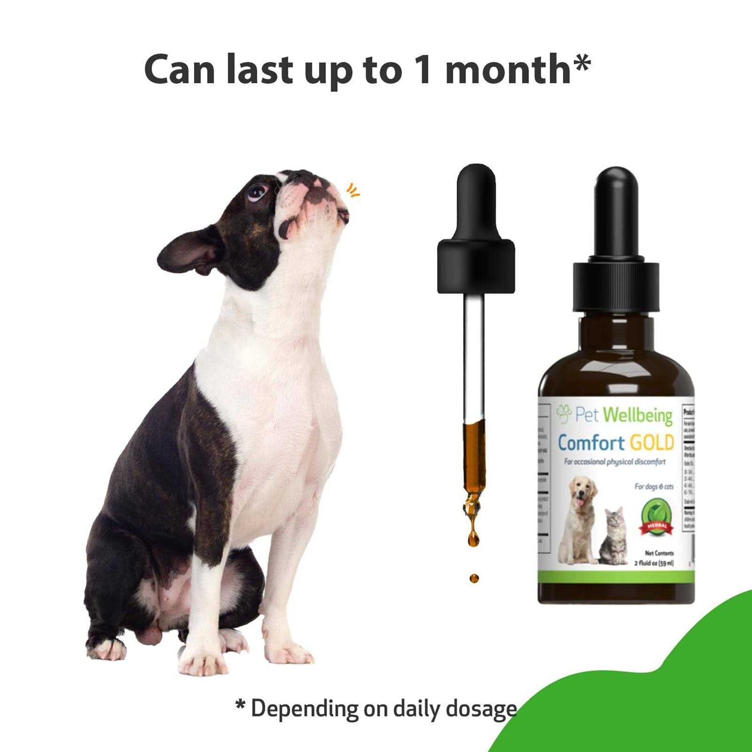 Pet Wellbeing Comfort Gold for Dogs