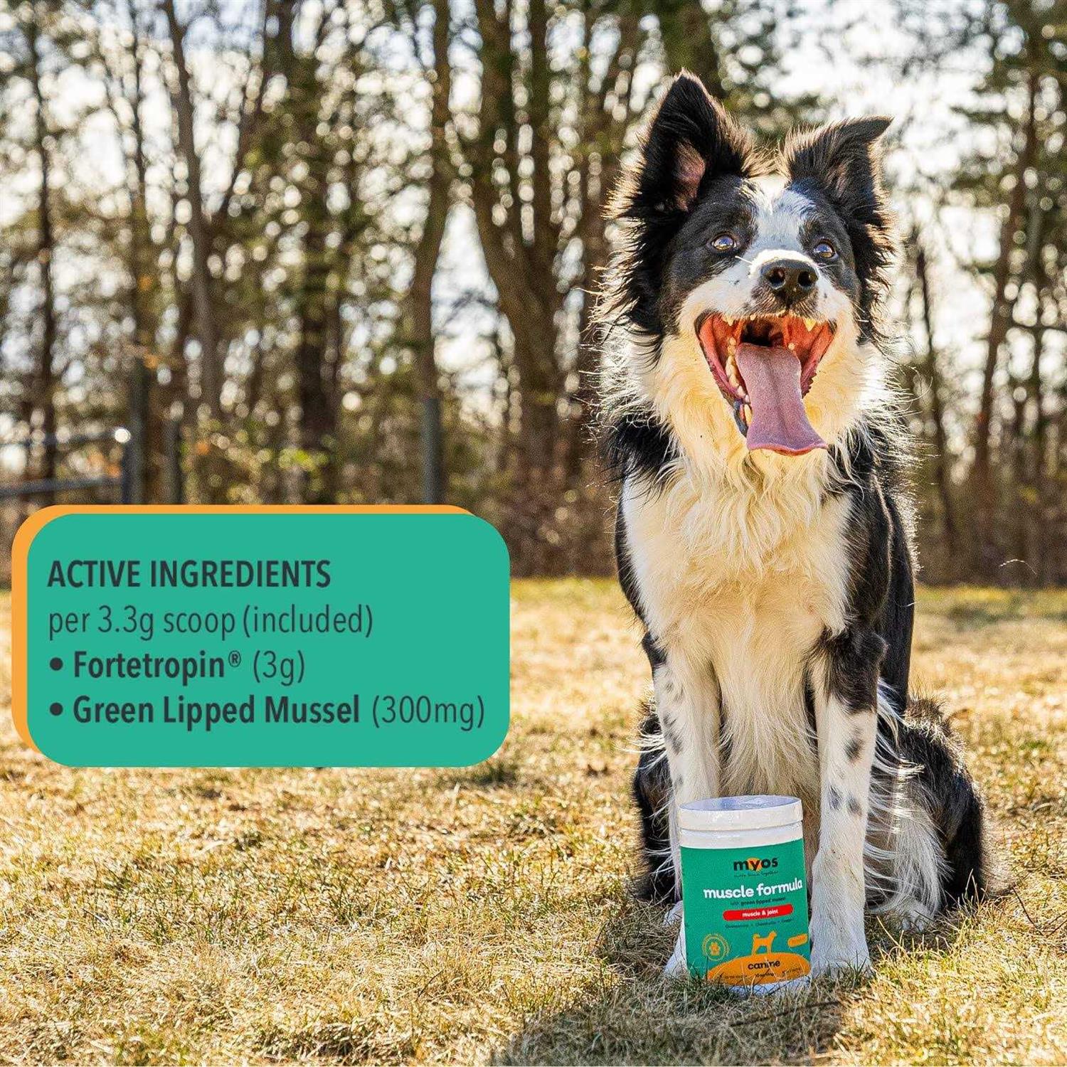 MYOS Canine Muscle & Joint Formula with Green Lipped Mussel Powder Dog Supplement