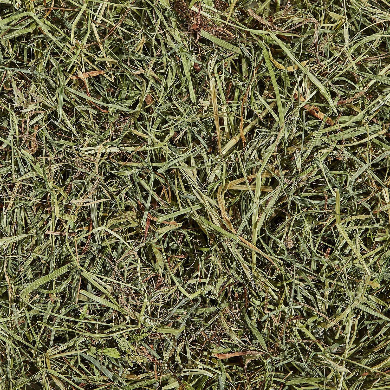 Kaytee Orchard Grass