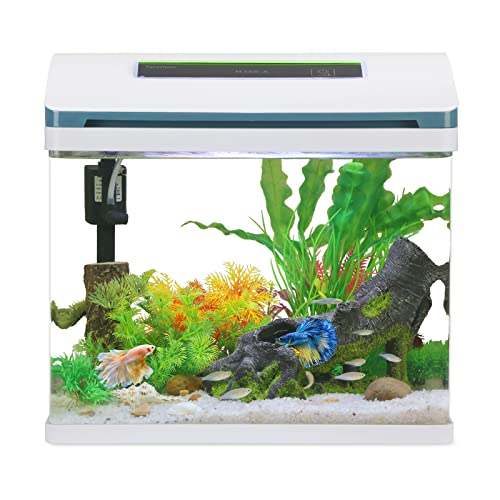 Small Fish Tank Aquarium Starter Kit