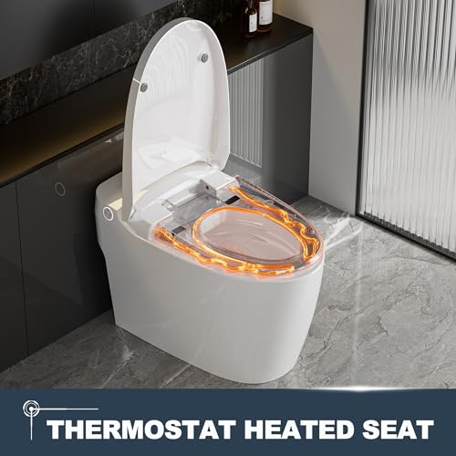Superflo smart toilet