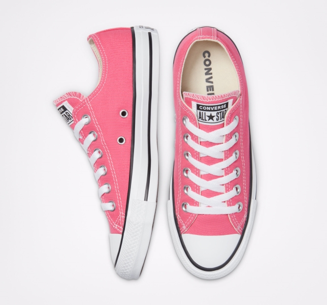 Women's Converse Chuck Taylor All Star Seasonal Low Tops Pink | 019-ZOIHMY