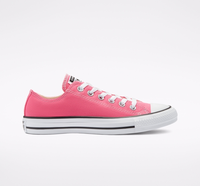 Women's Converse Chuck Taylor All Star Seasonal Low Tops Pink | 324-WOBSFL