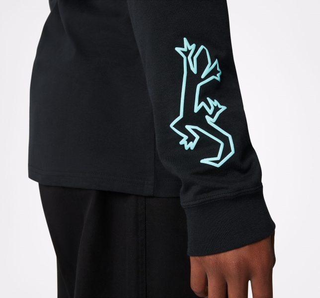 Men's Converse Desert Graphic Long Sleeve T Shirts Black | 253-MEQWIG