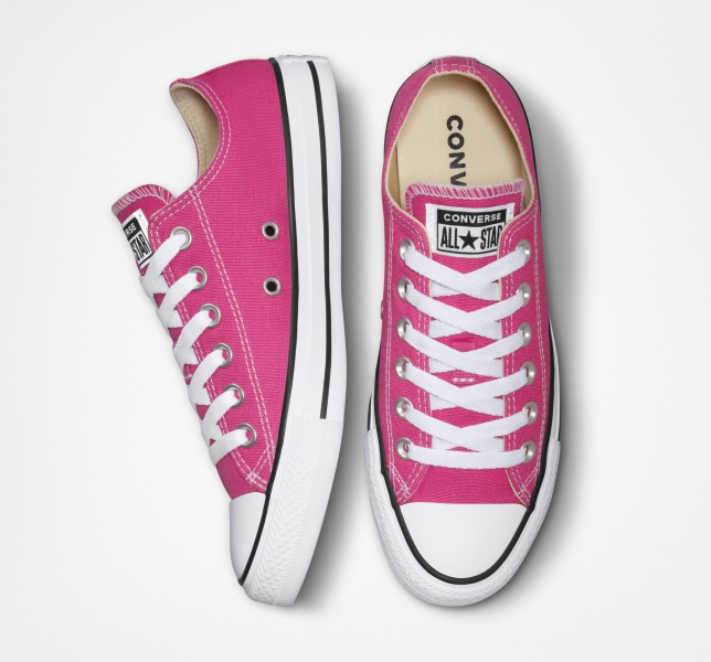 Women's Converse Chuck Taylor All Star Seasonal Canvas Shoes Fuchsia / White / Black | 485-DZKGUJ