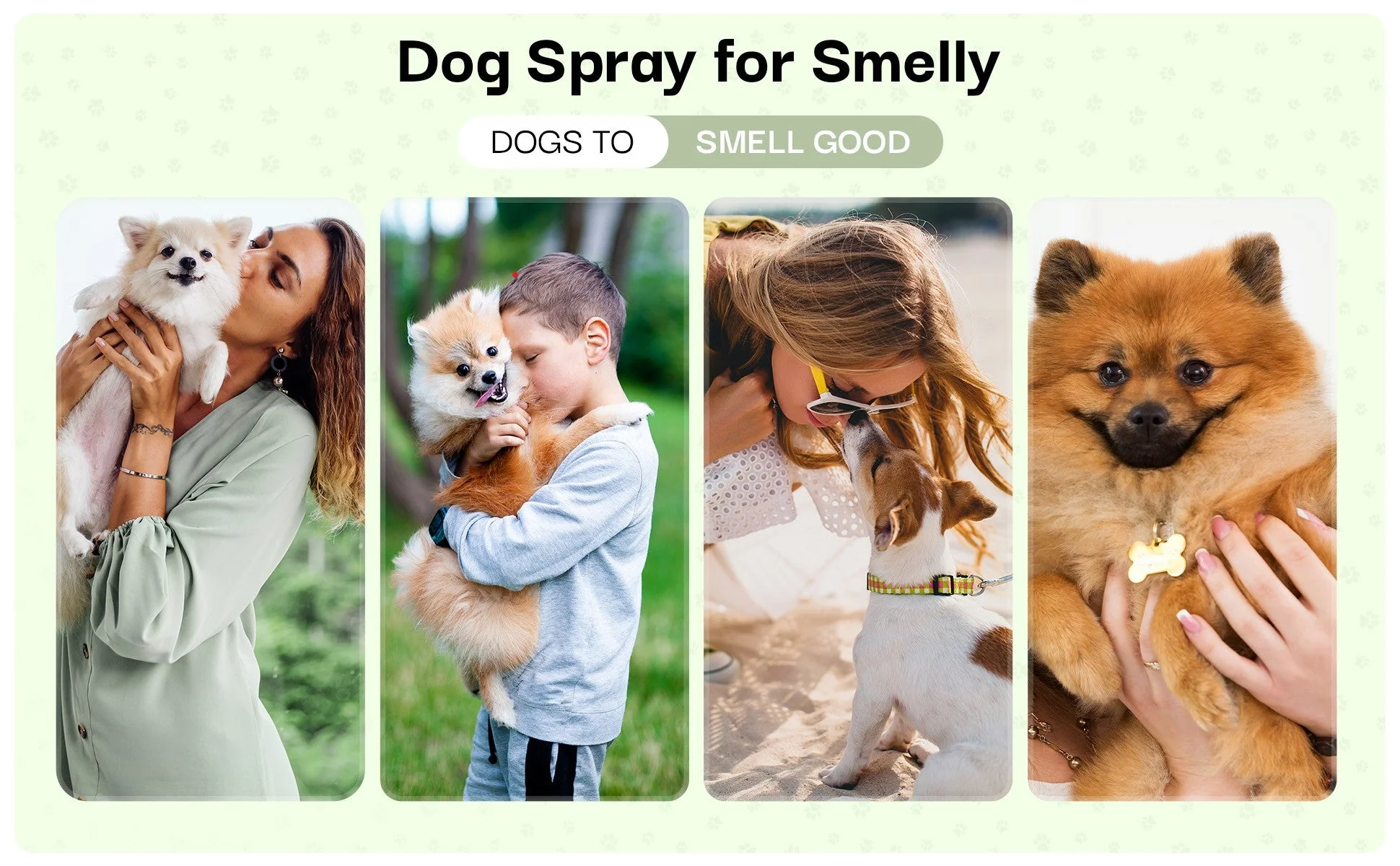 Show Dog Premium Grooming Spray (2.7oz)