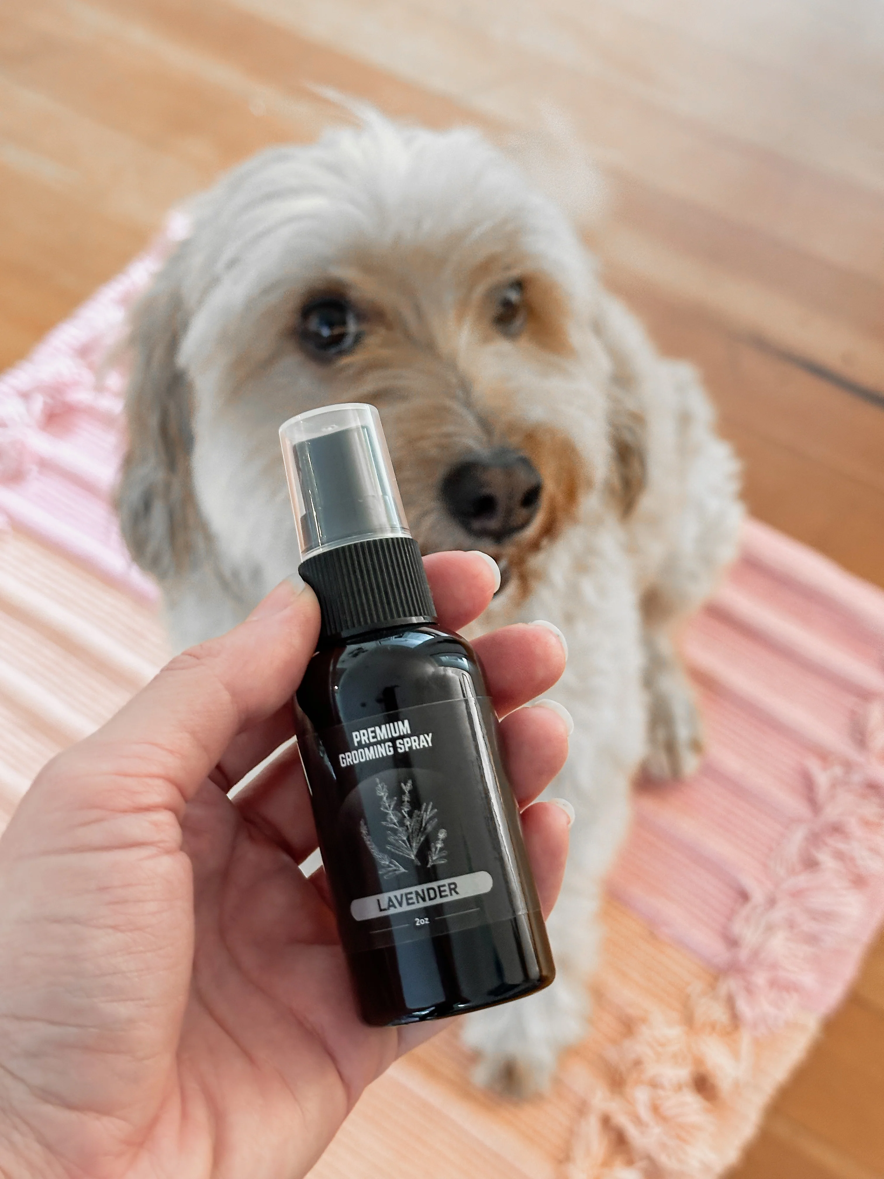 Lavender Premium Grooming Spray (2.7oz)