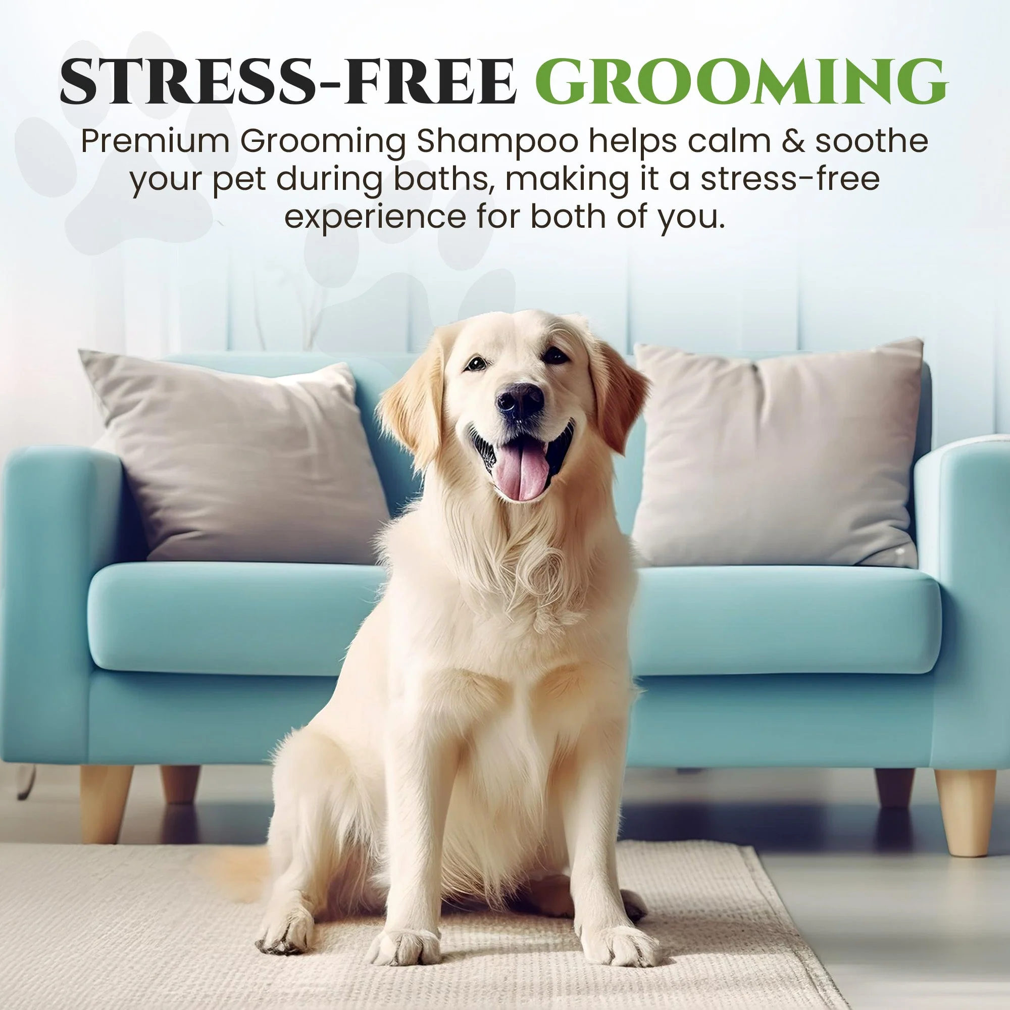 Lavender Premium Grooming Shampoo