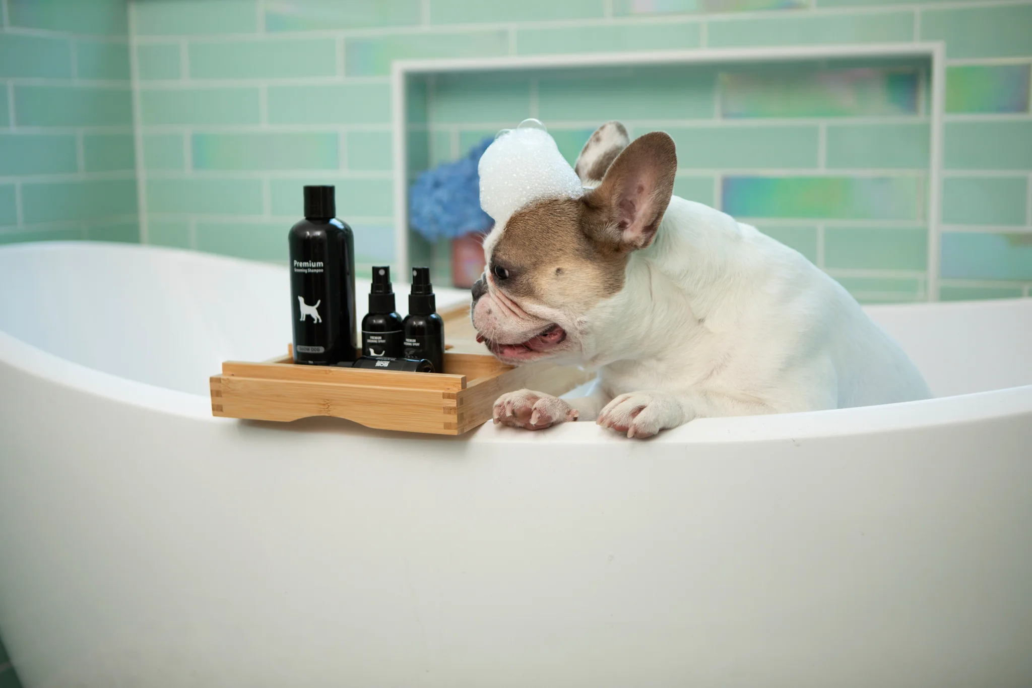 Show Dog Premium Grooming Shampoo