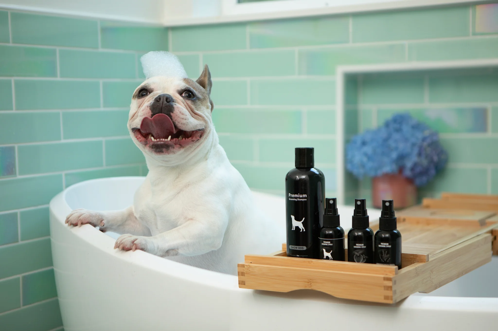 Show Dog Premium Grooming Shampoo