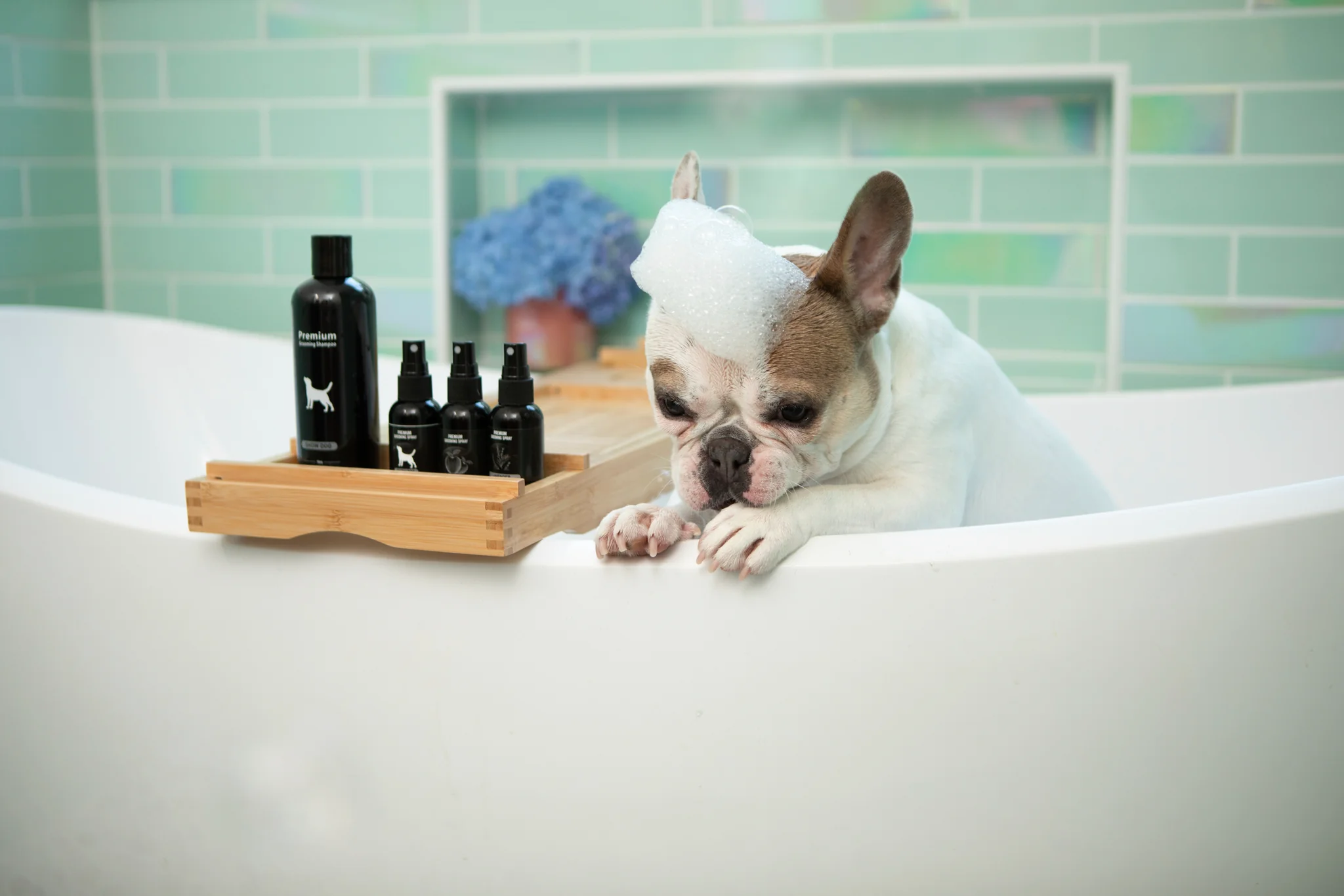 Show Dog Premium Grooming Shampoo