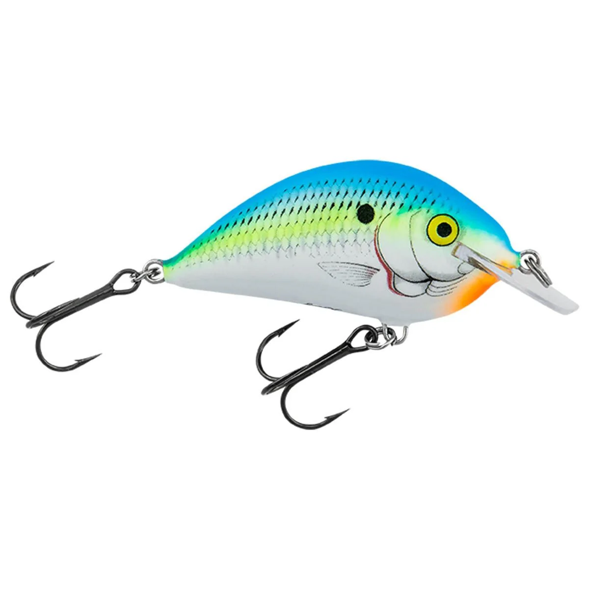 Bagley Pro Sunny B #7 3