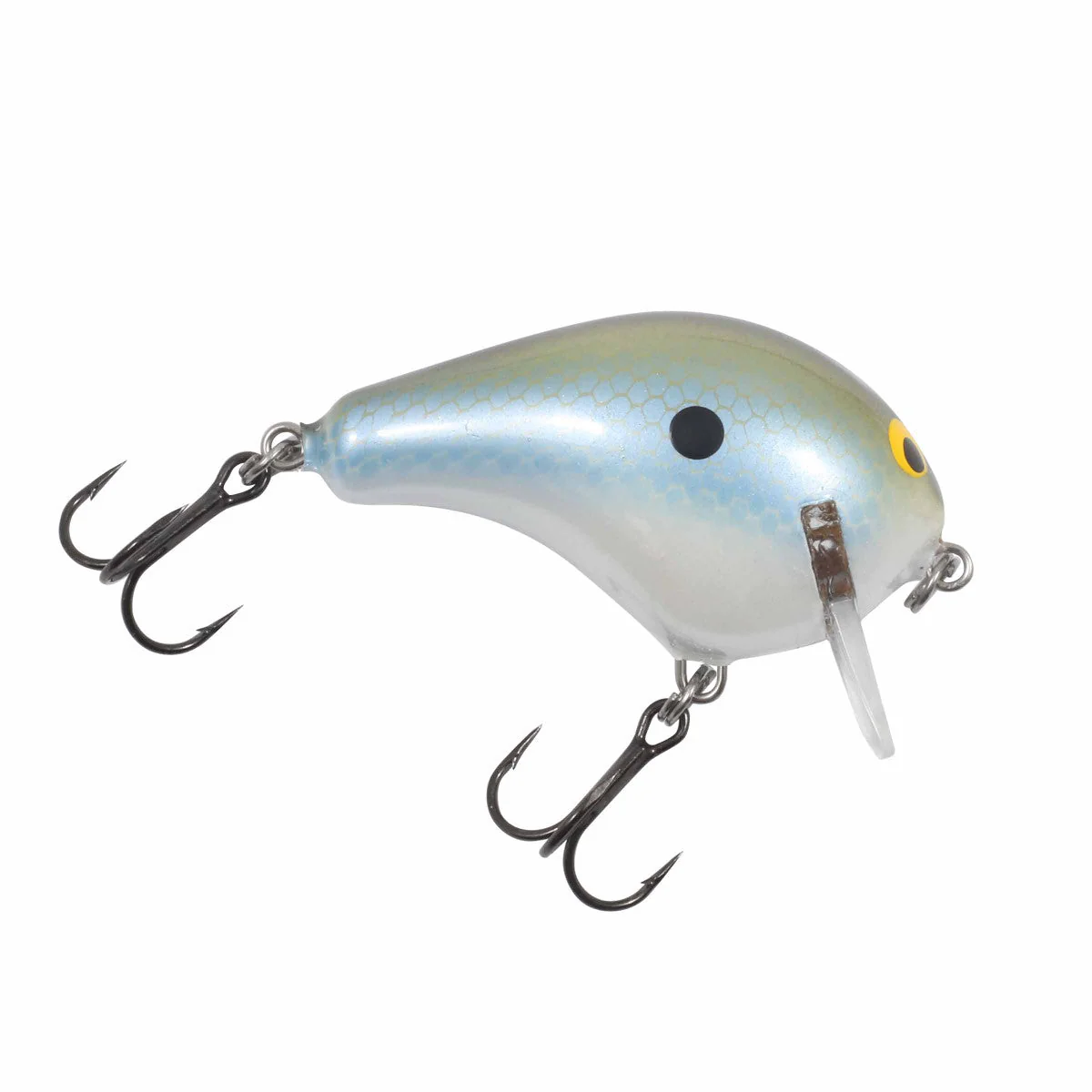 Bagley Balsa Wake 1, 2