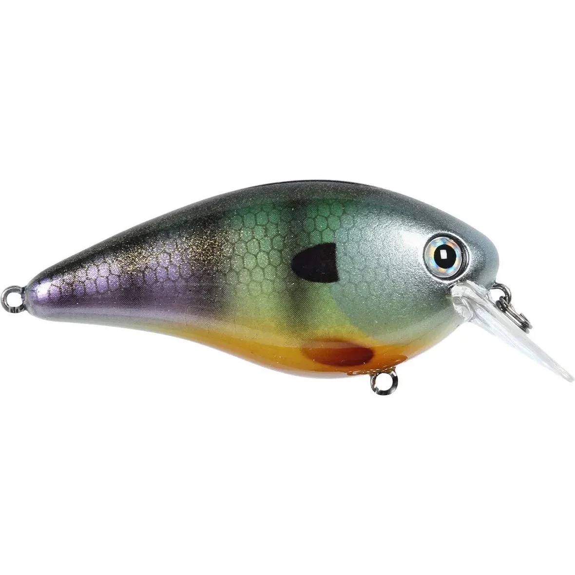 Strike King KVD Squarebill Crankbait 1.0 1/4 Oz