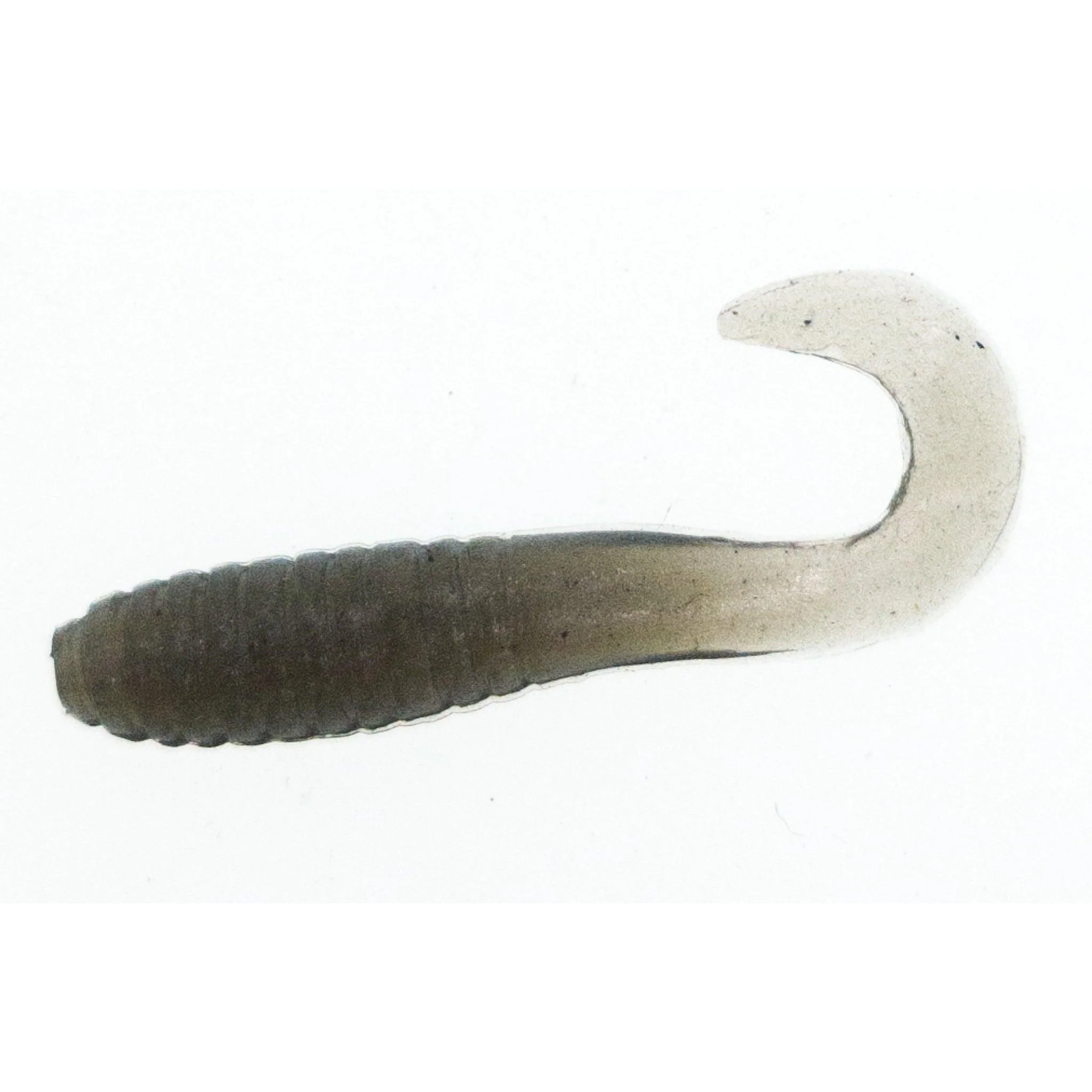 FAS Ribbed Curly Tail Grub 1