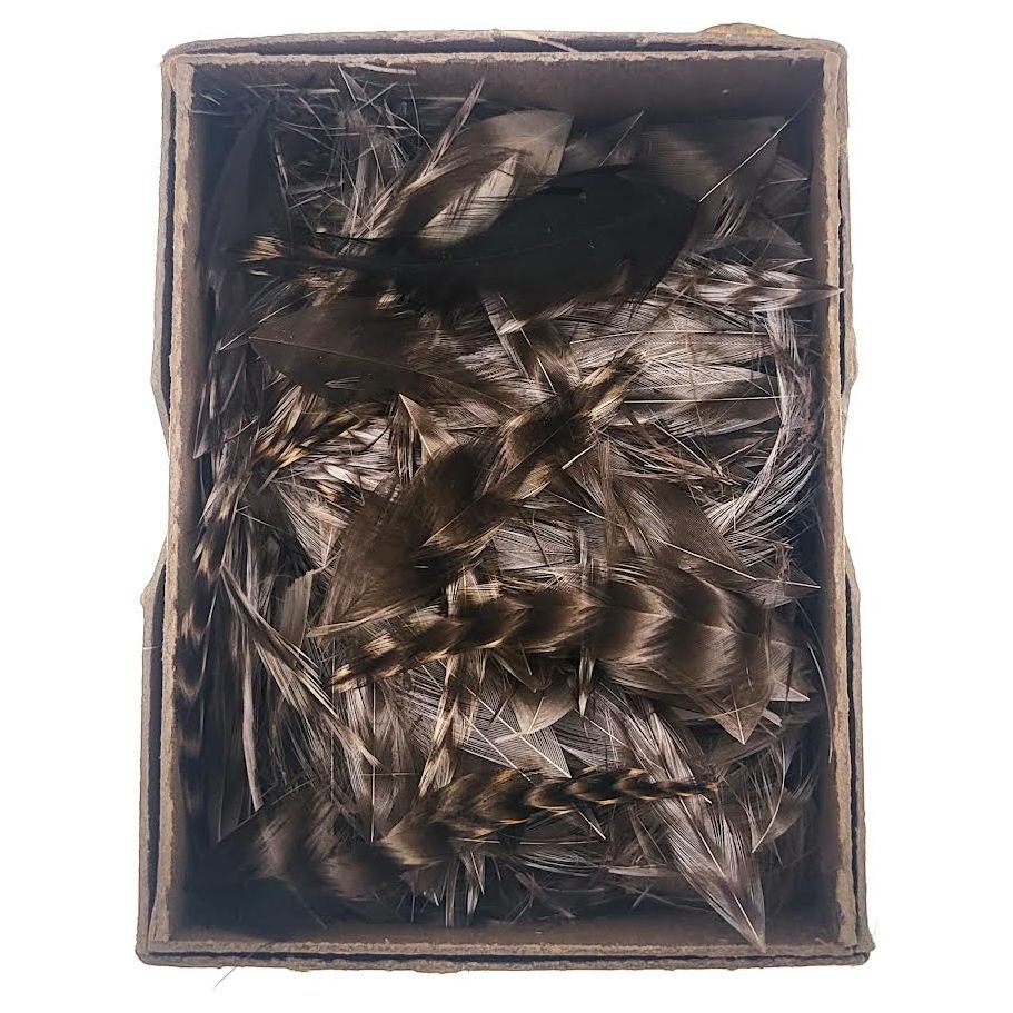 Wapsi Fly Co Grizzly Cut Feathers (Bulk) Variety Pack