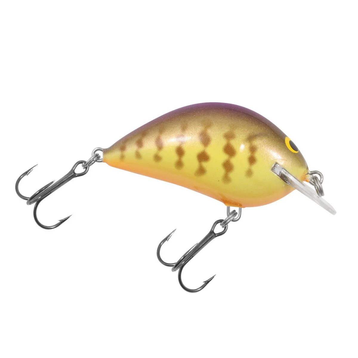 Bagley Pro Sunny B #7 3