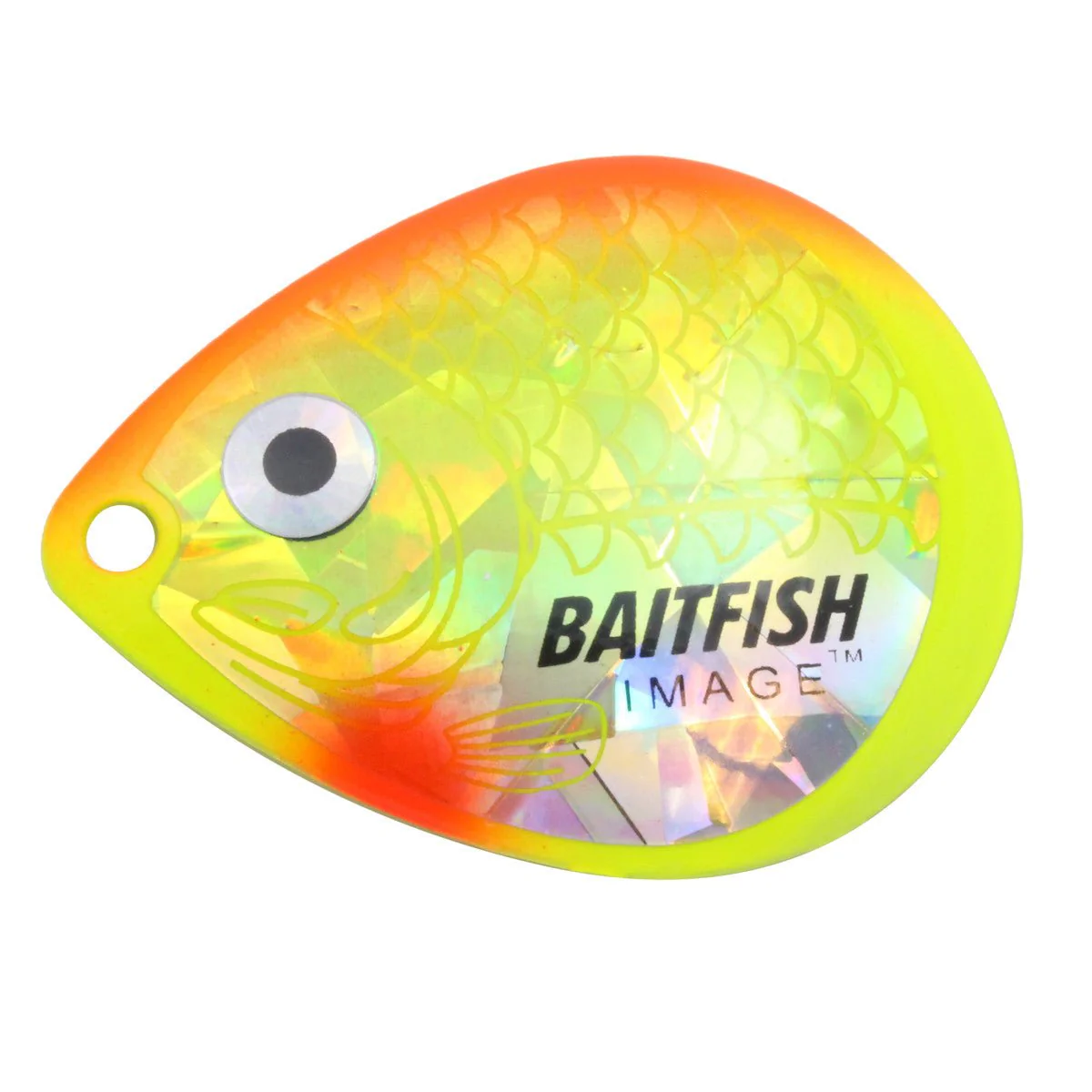 Northland Tackle Baitfish Image Colorado Blades