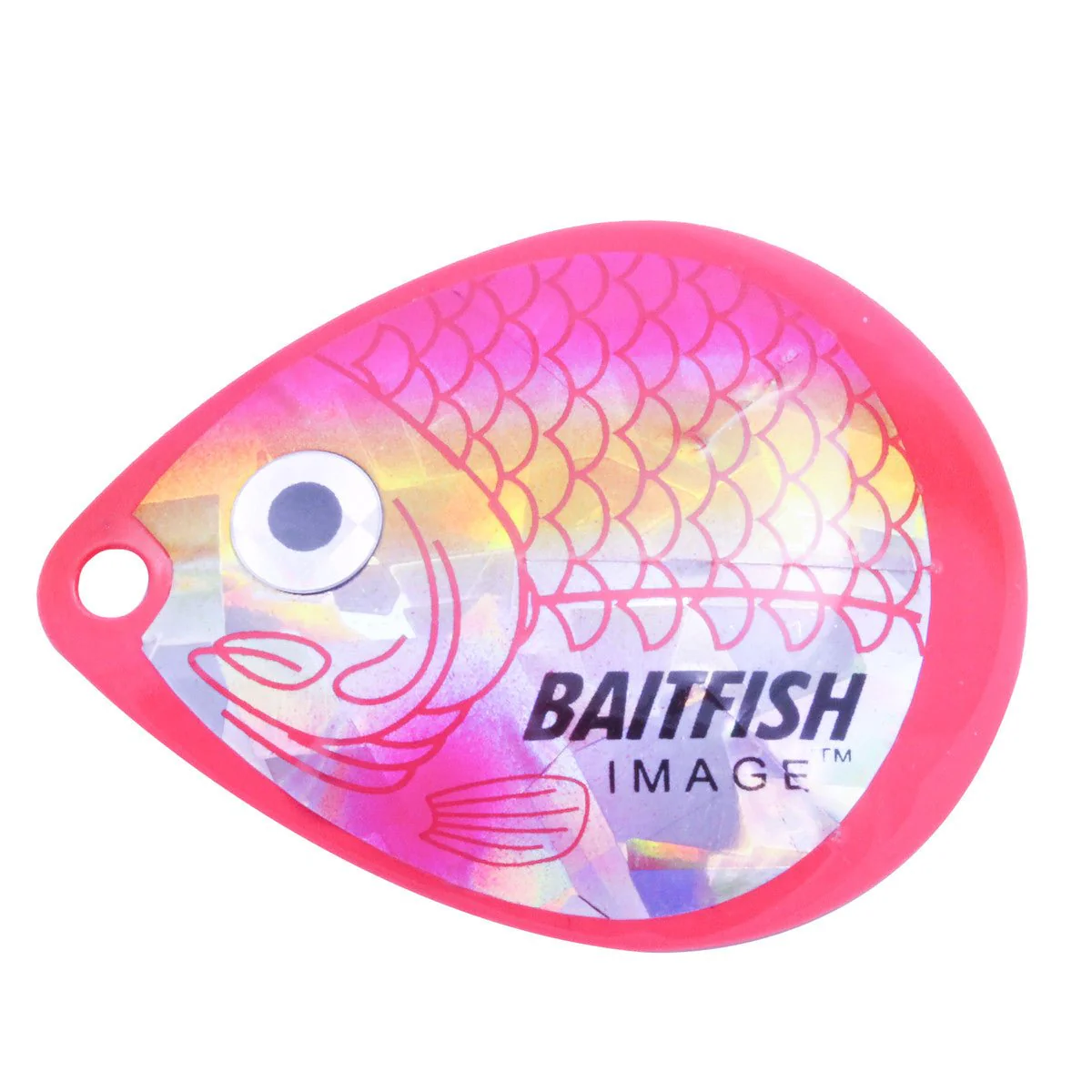 Northland Tackle Baitfish Image Colorado Blades