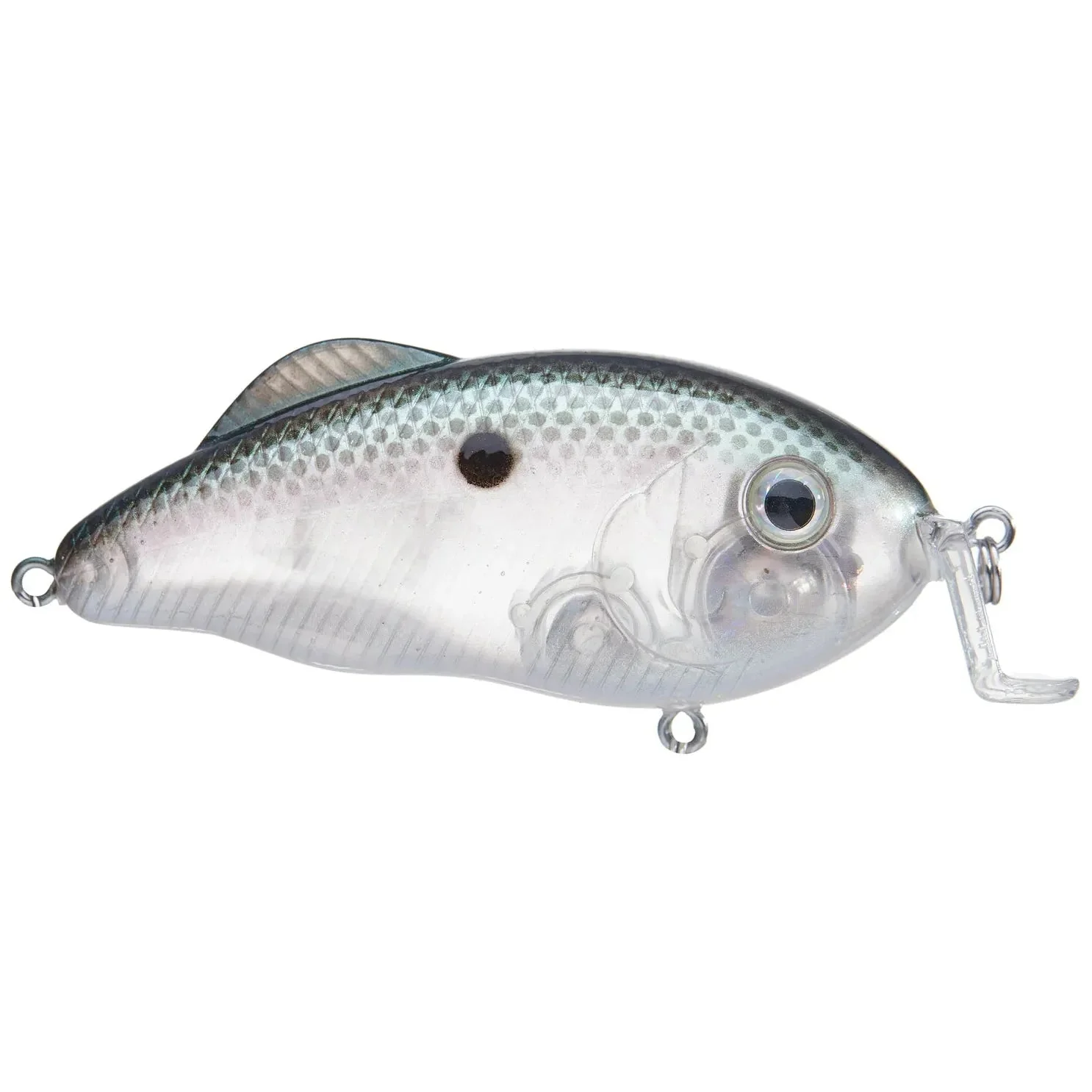 Strike King Hybrid Hunter Jr 3