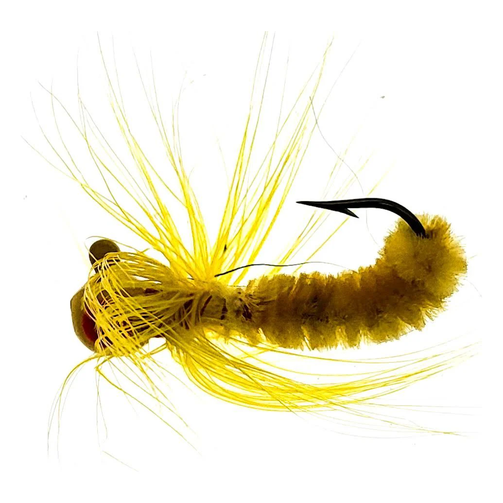 FAS Round Head Jigs Qty 1