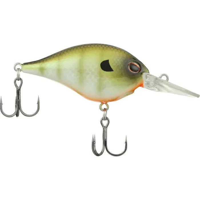 Berkley Dime 6 2-1/4