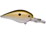 Strike King KVD Square Bill Crankbait 1.5 2.25