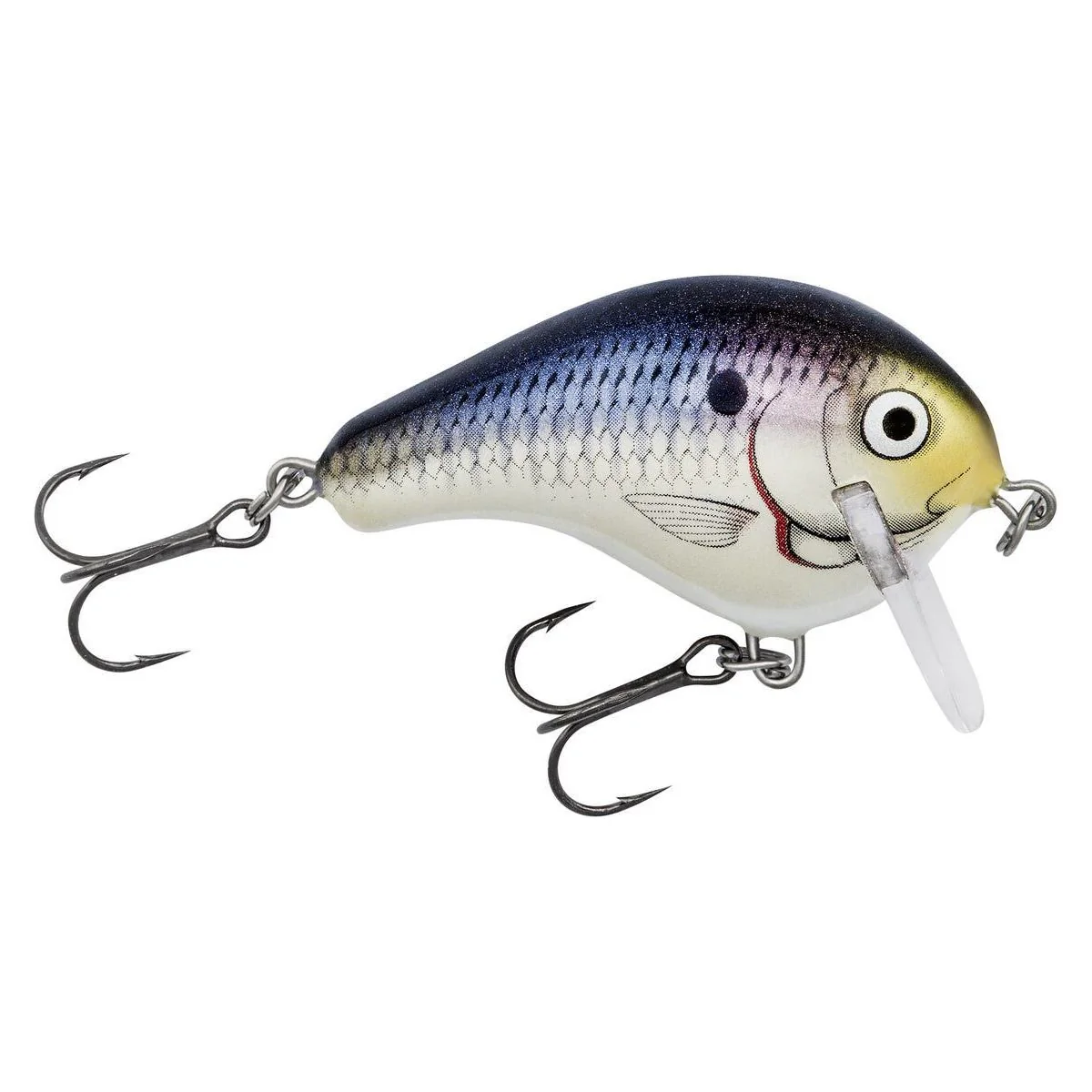 Bagley Balsa Wake 1, 2