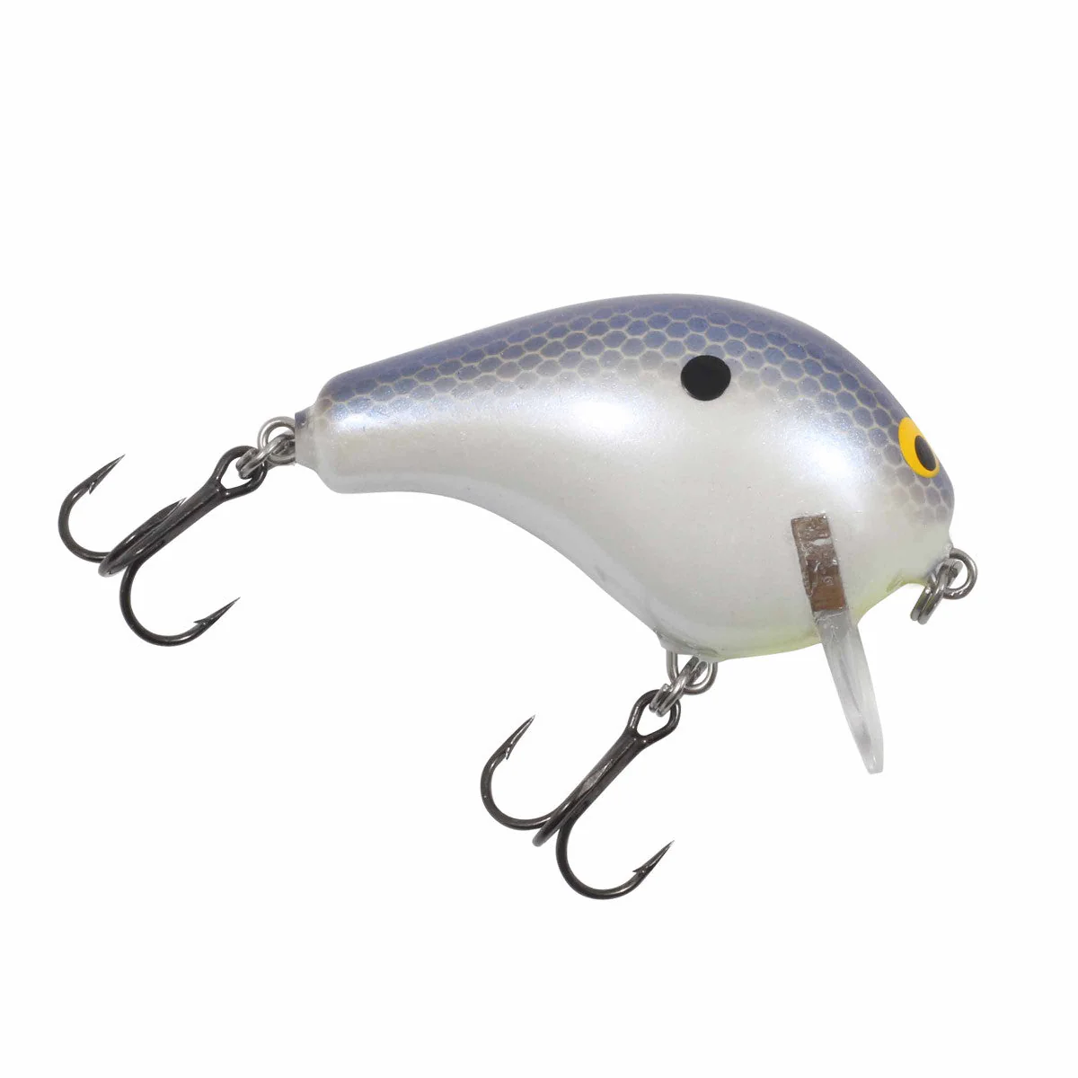 Bagley Balsa Wake 1, 2