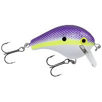 Bagley Balsa Wake 1, 2