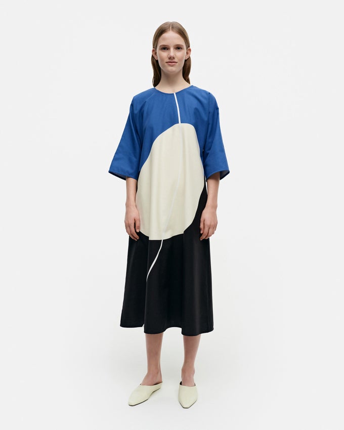 Topaasi Kivi N?kee Unta