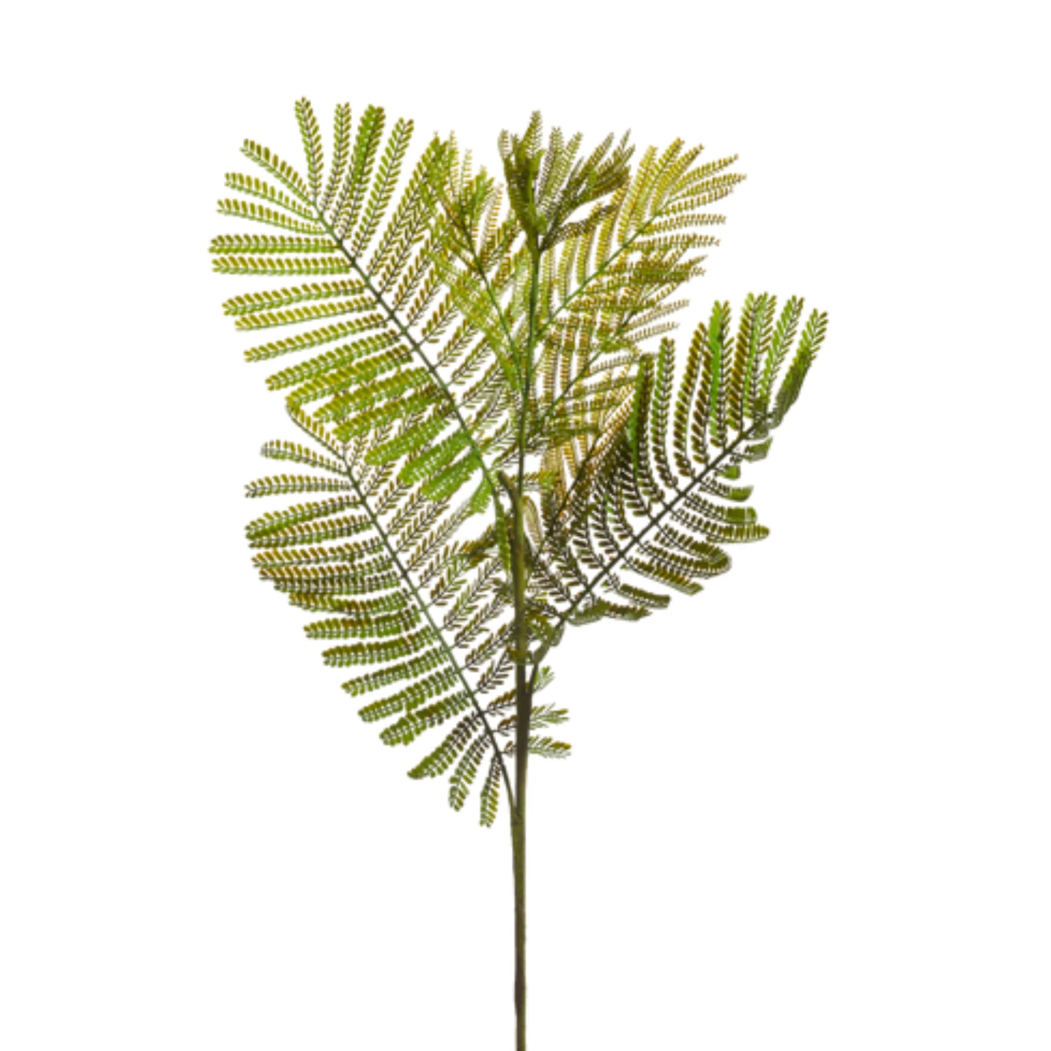 33 Fern Spray