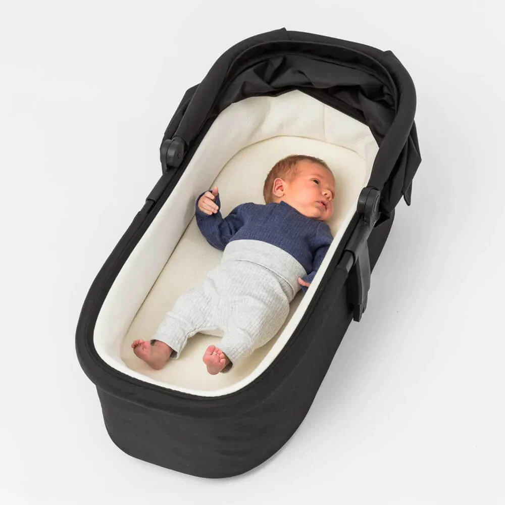 Edwards & Co Carrycot 2