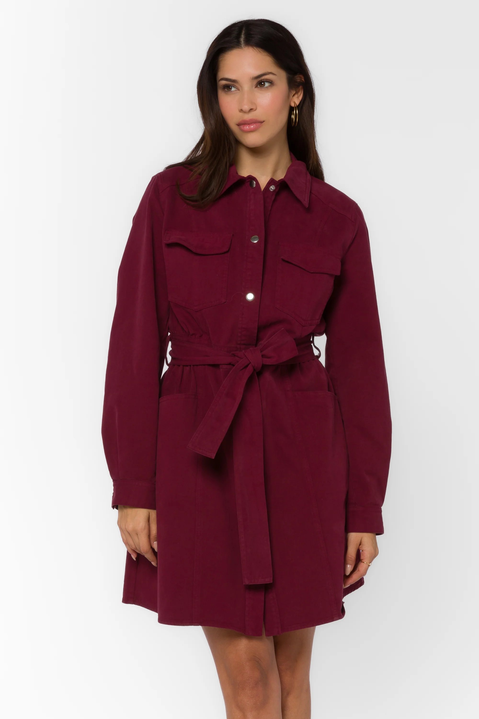 Deena Maroon Dress