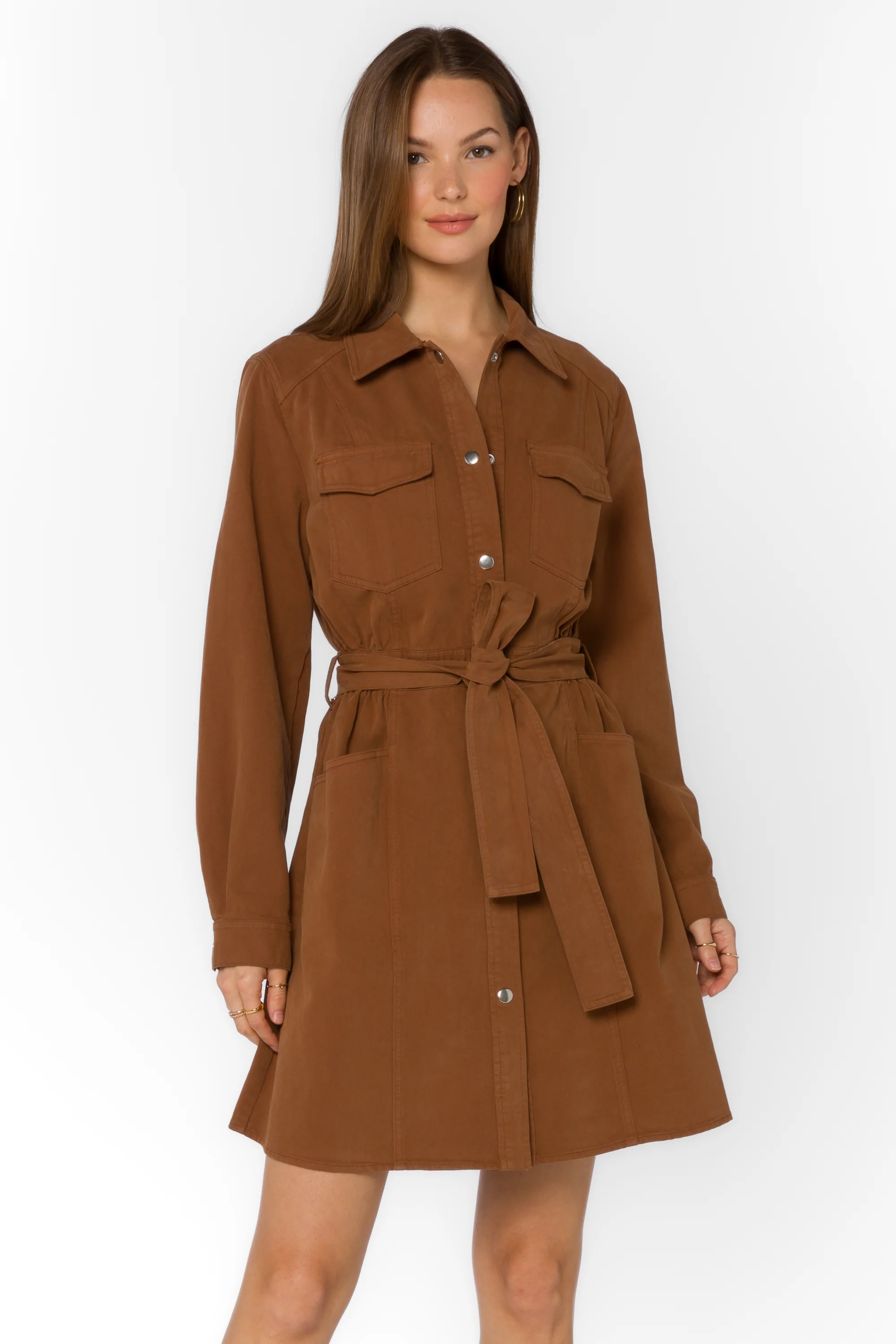 Deena Java Brown Dress