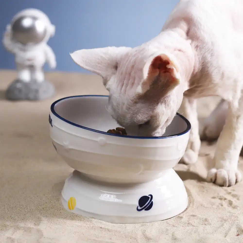 Ceramic Slanted Tall Pet Bowl
