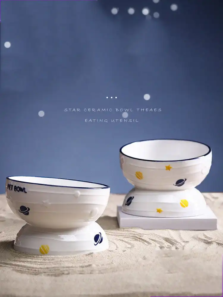 Ceramic Slanted Tall Pet Bowl