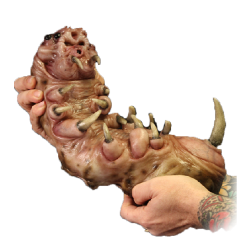 Larva Silicone Baby