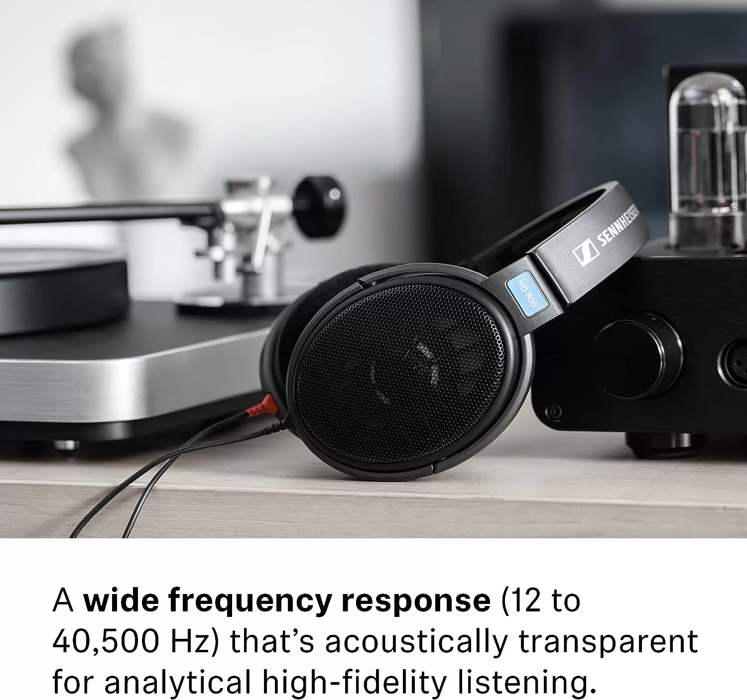 Sennheiser Consumer Audio HD 600 - Audiophile Hi-Res Open Back Dynamic Headphone, Black