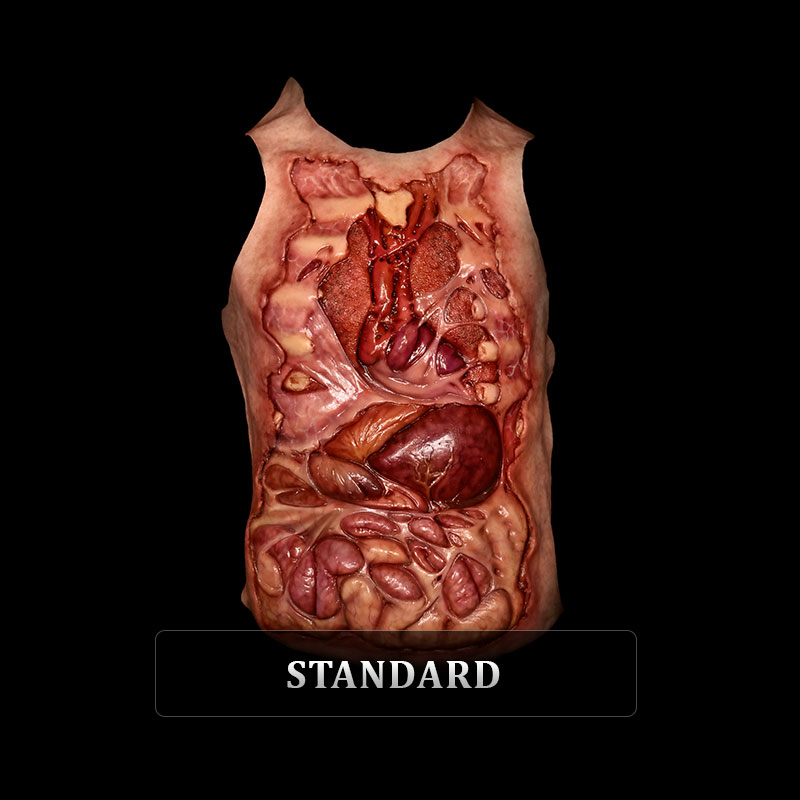 Exposed Body Suit