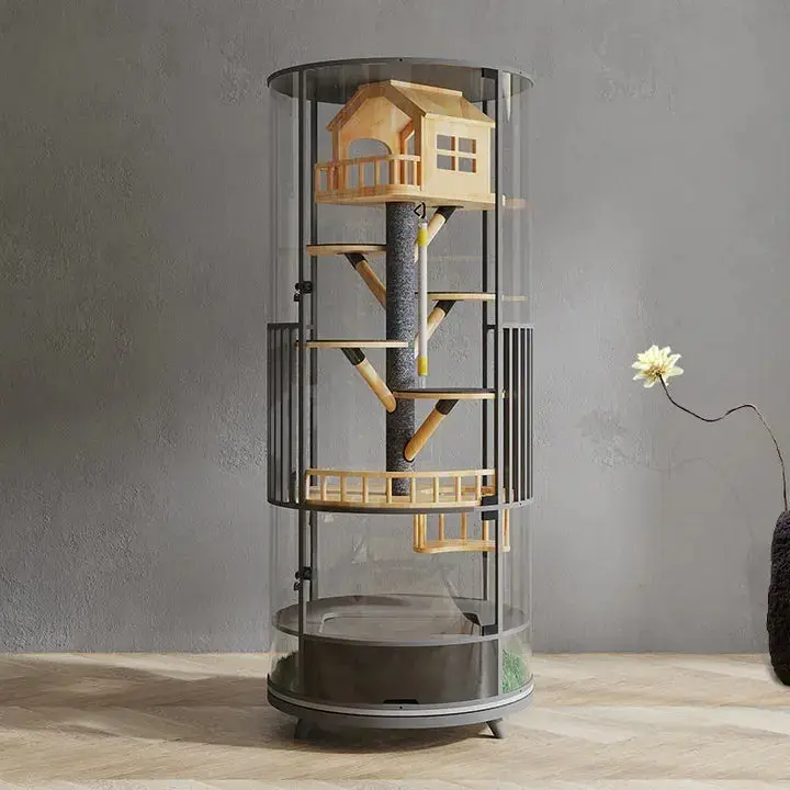 ❤️The Best Gift For Your Cats