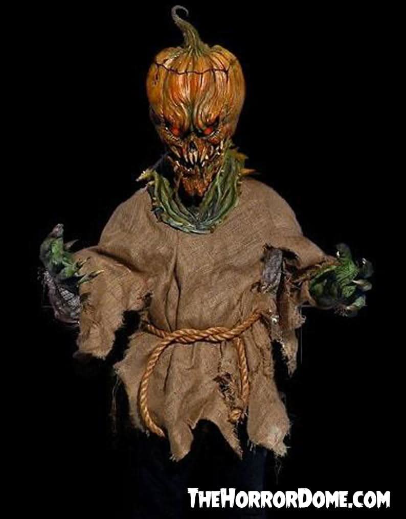 Jack O'Lantern HD Studios Costume